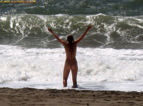 Baker beach nudists - 🧡 Tasmanian Nudist Group.