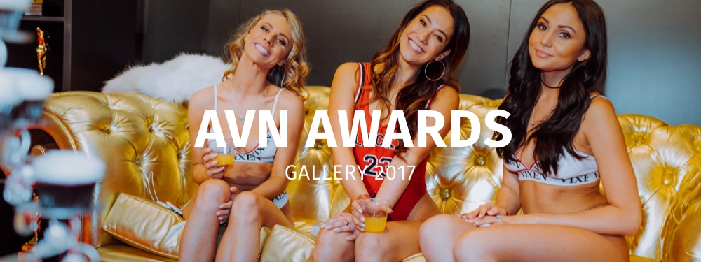 AVN Expo Gallery