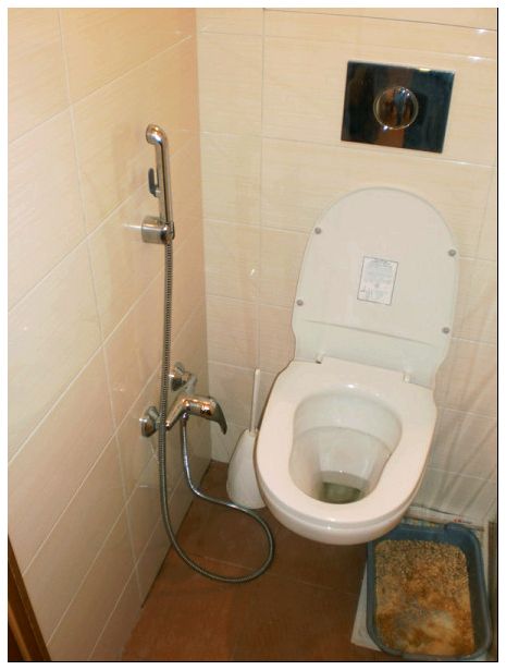 Как установить в туалете гигиенический. Унитаз со шлангом для подмывания. Туалетная комната с гигиеническим душем.