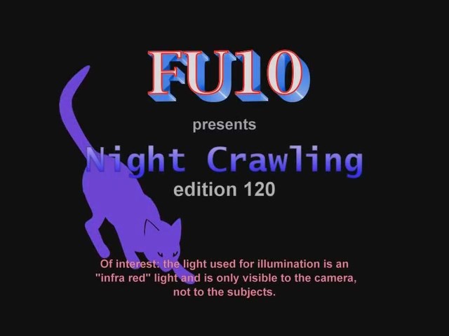 FU10 Night Crawling 120