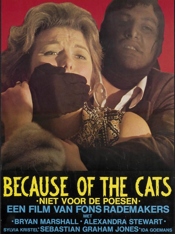 Because of the Cats / Из-за кошек