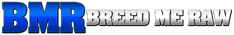 Rocco Steel & Adam Russo