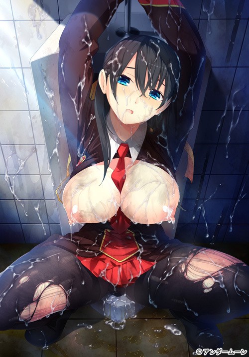 Ojou-sama wa Gakuen no Seieki Benjo ~Netorase・Bukkake・Rankou Seikatsu Nisshi~